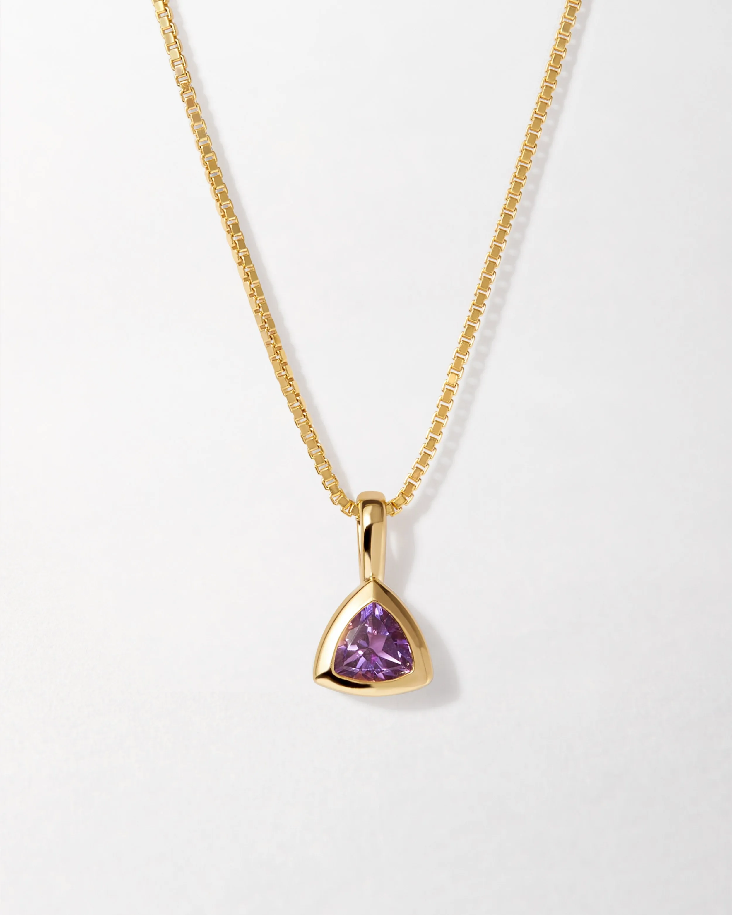 Amethyst February Birthstone Necklace - Gold