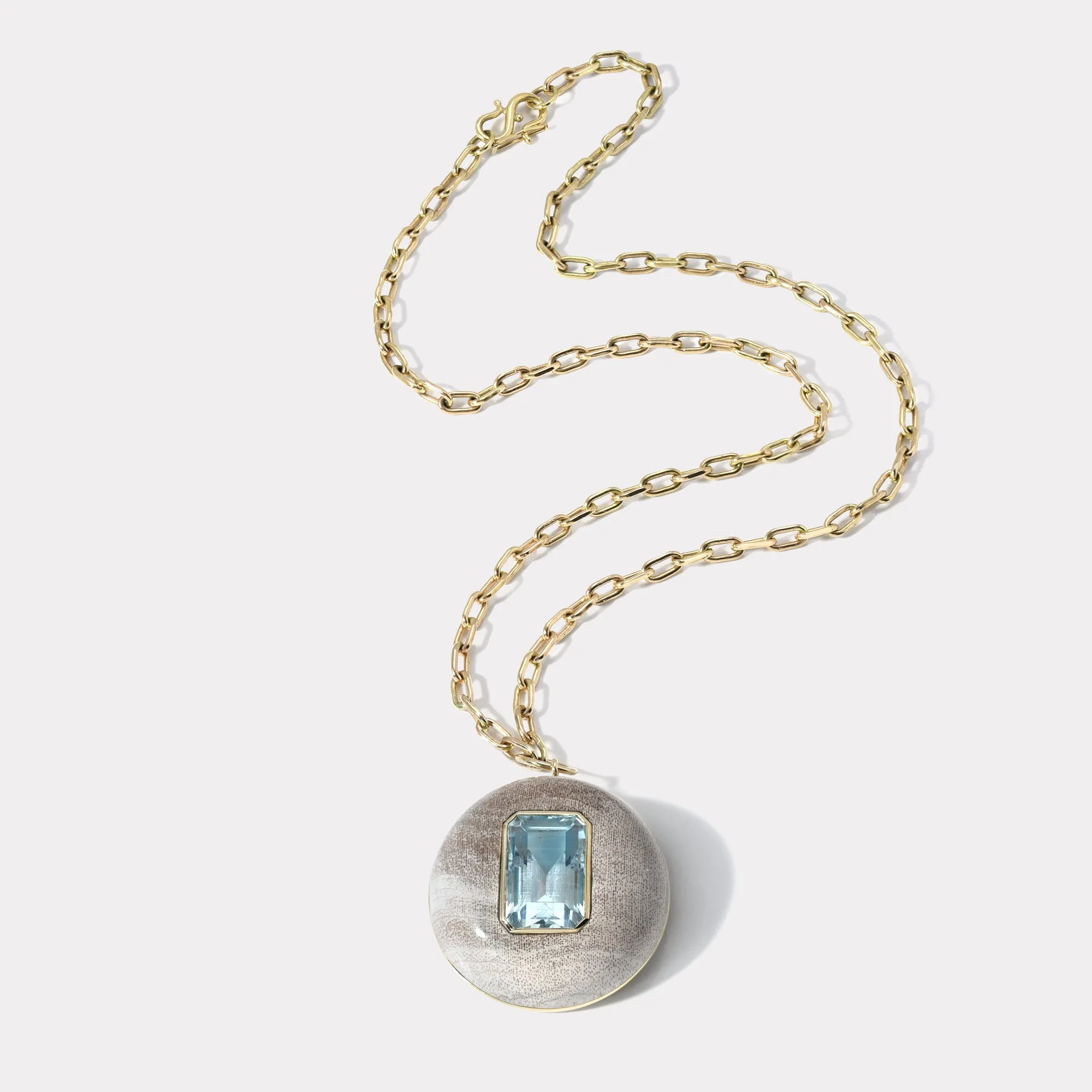 Lollipop Pendant - Aquamarine in Petrified Wood